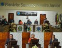 Sessão ordinária marcada pela apresentação de requerimentos.